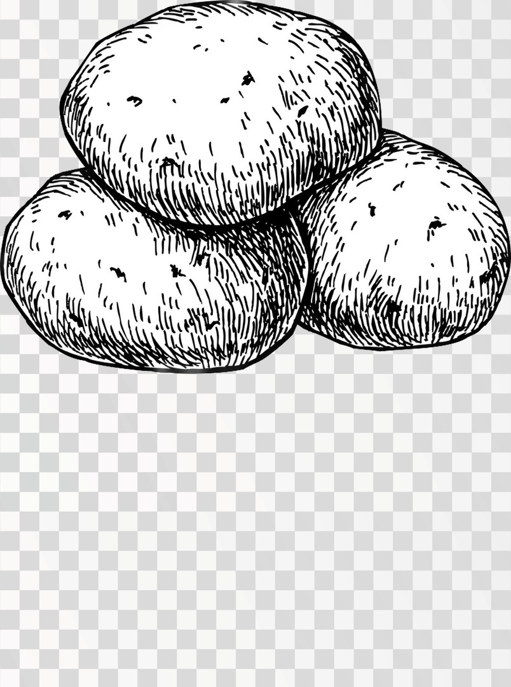 Vintage Hand-Drawn Potatoes Illustration