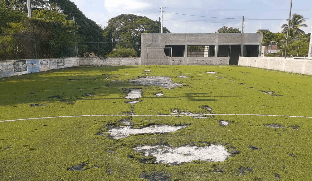 Abandoned Sports Field with Overgrown Turf