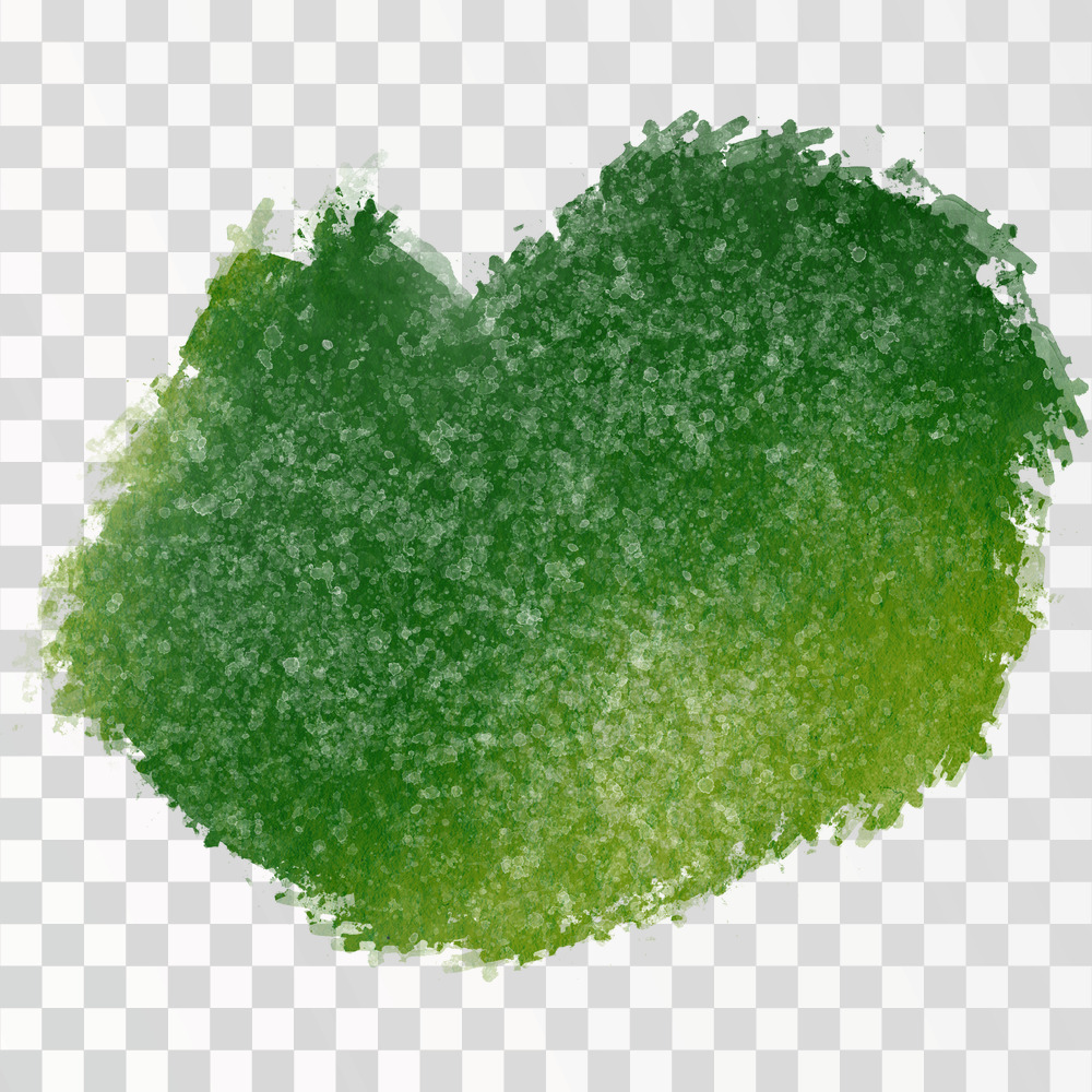 Green Watercolor Brushstroke