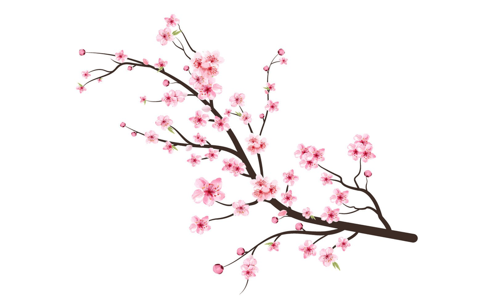 Cherry Blossom Branch with Pink Flowers