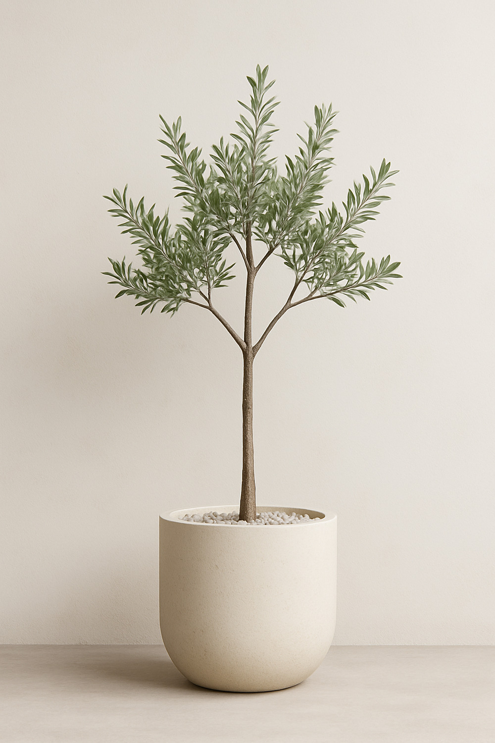 Elegant Minimalist Indoor Plant