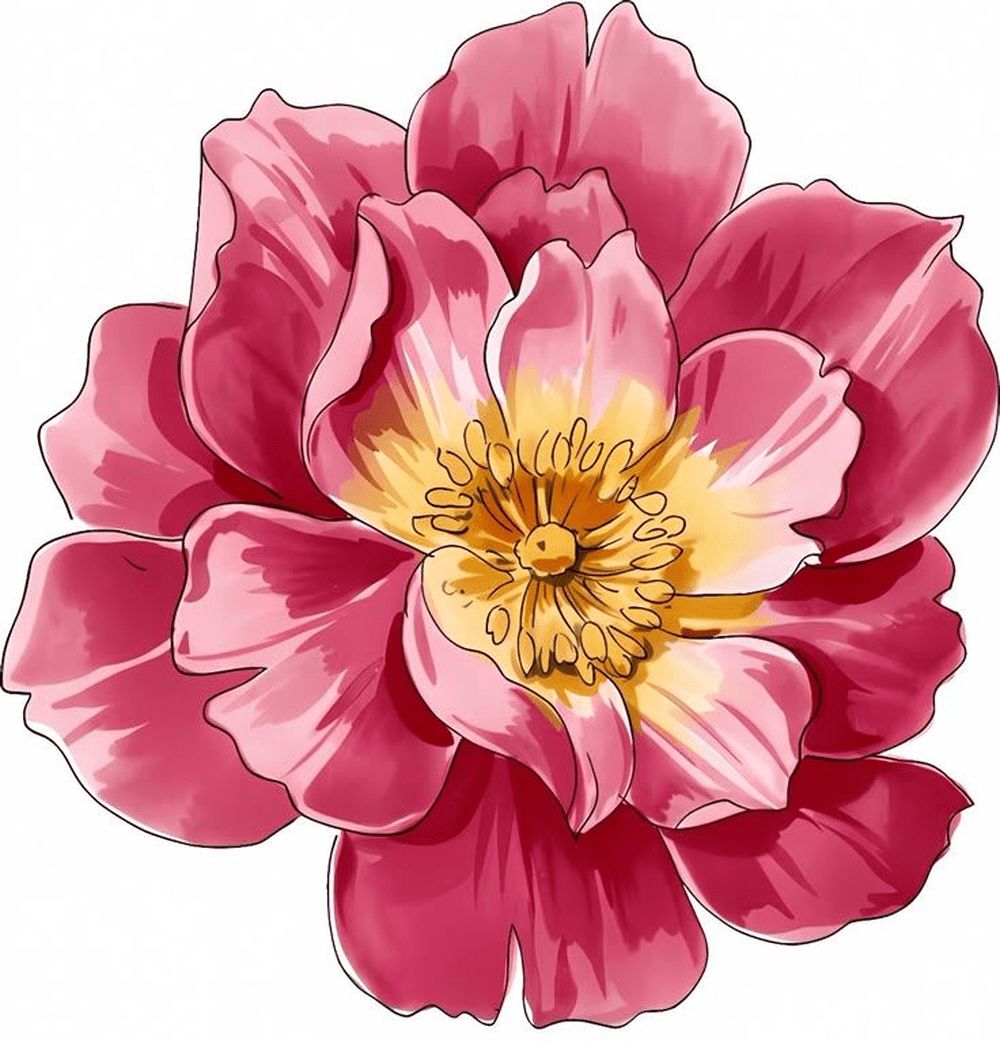 Vibrant Pink Peony Flower Illustration