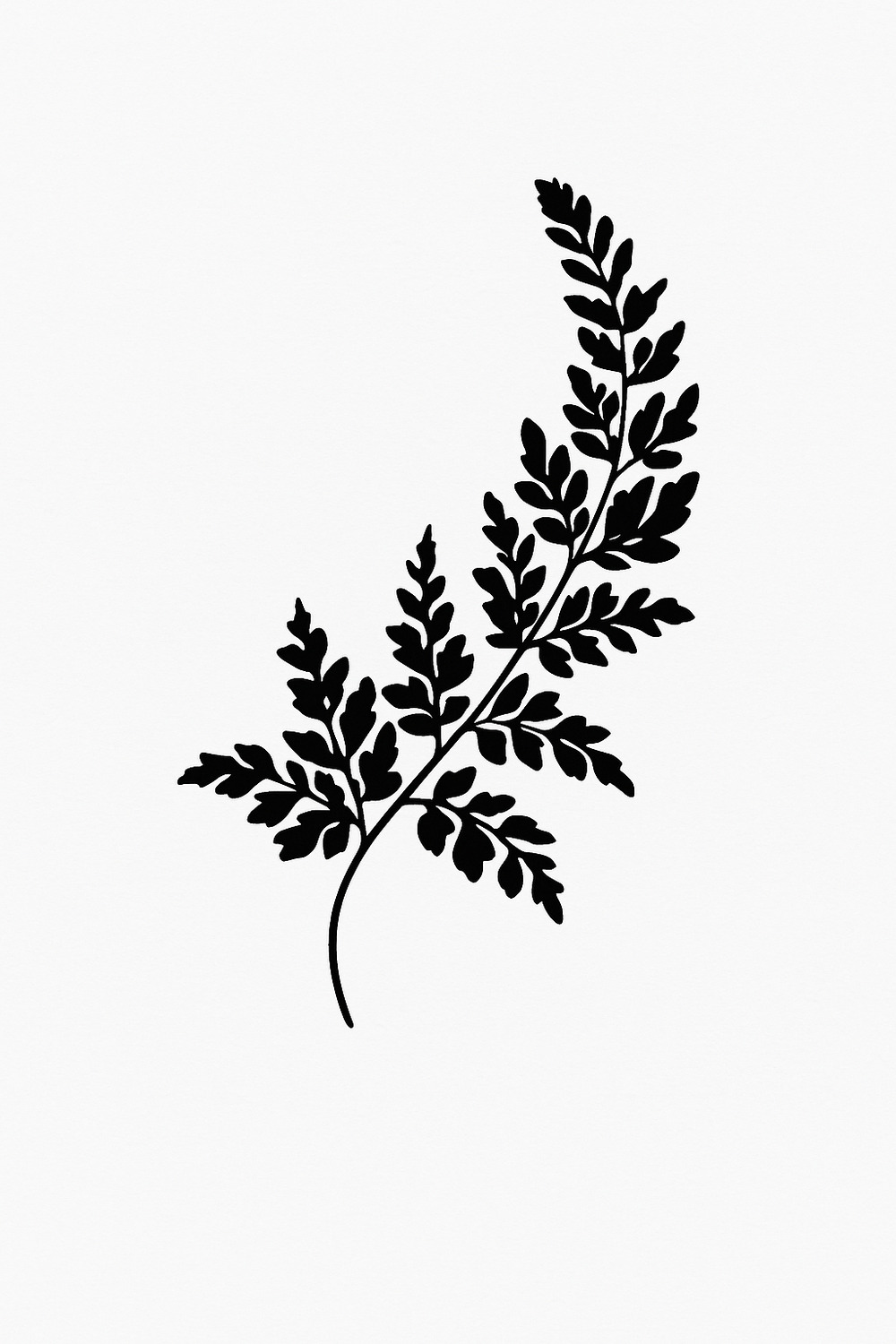 Elegant Black Leaf Illustration