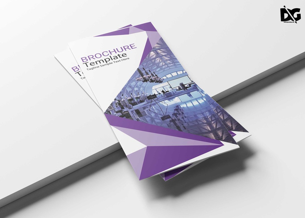 Phanphlet Tri-fold Brochure Template - Graphic Folks