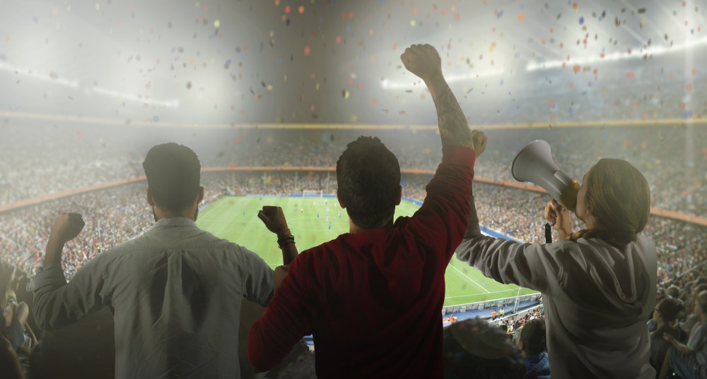 Backview of football fans in stadium