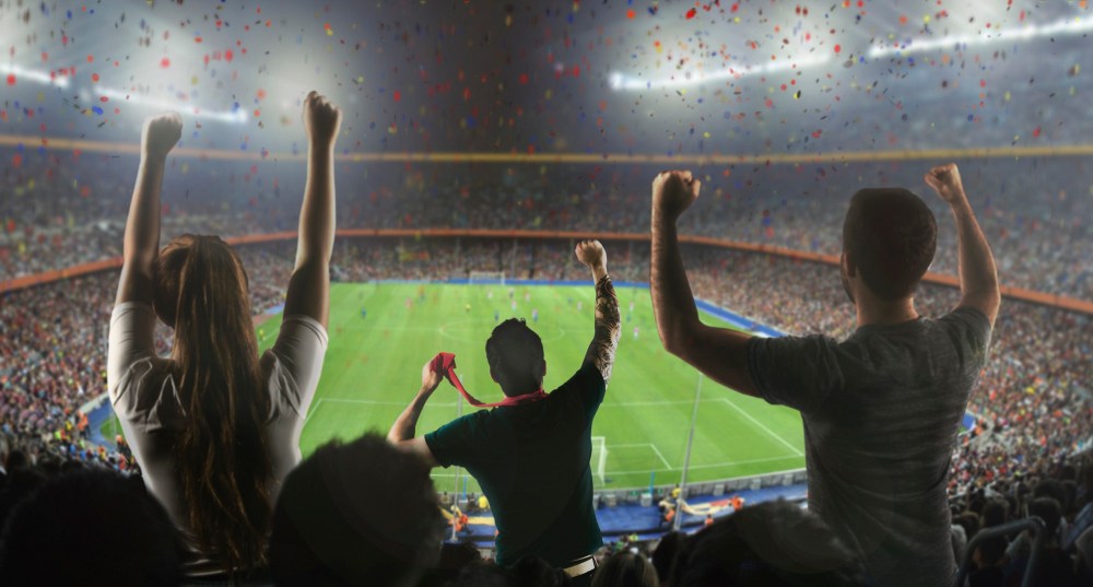 Football fans in stadium from behind