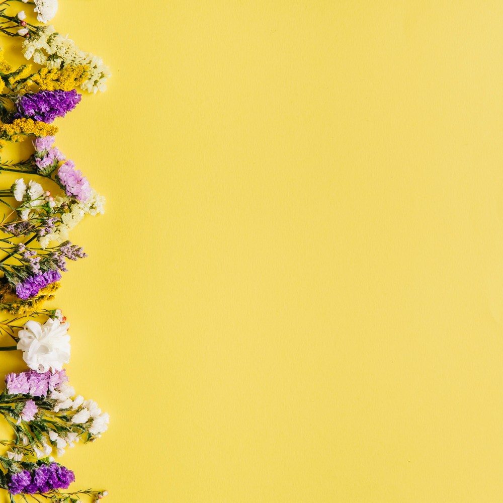 Fresh colorful small flowers