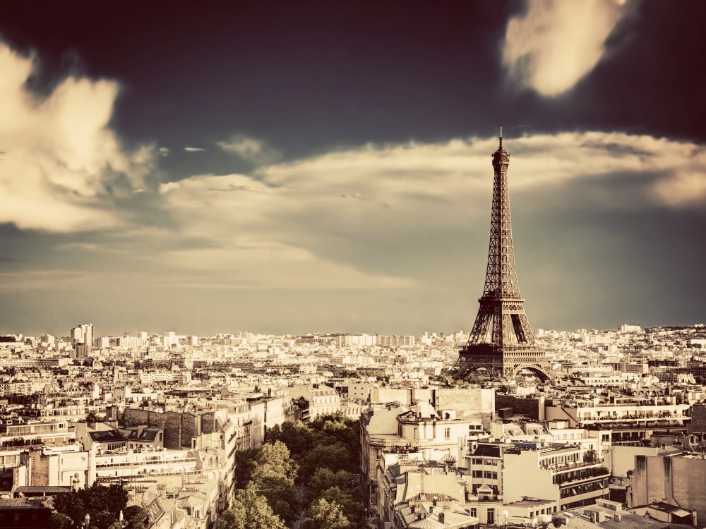Paris city view from high