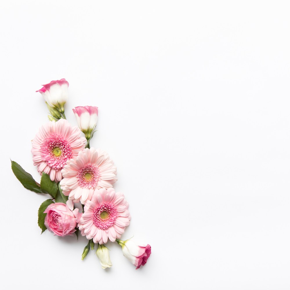 Pink flowers composition