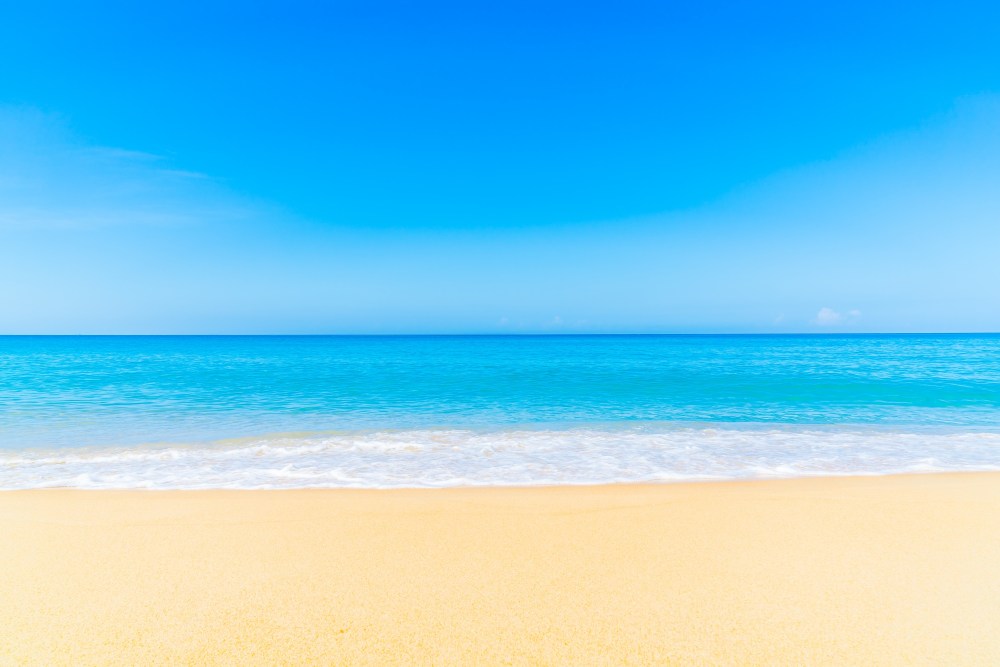 white nature beach tropical landscape