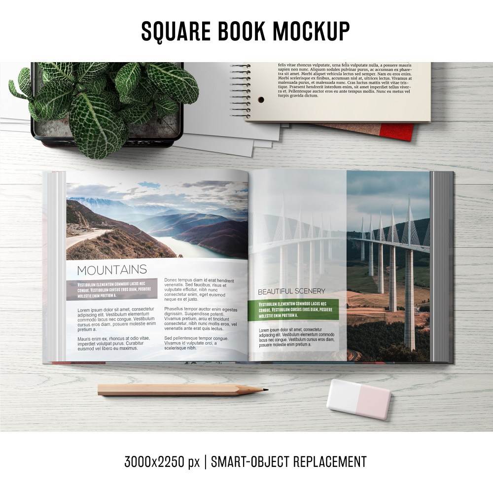 Square book mockup