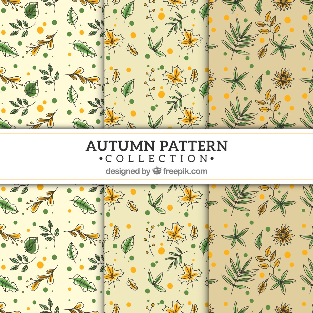 Autumn patterns collection with leaves