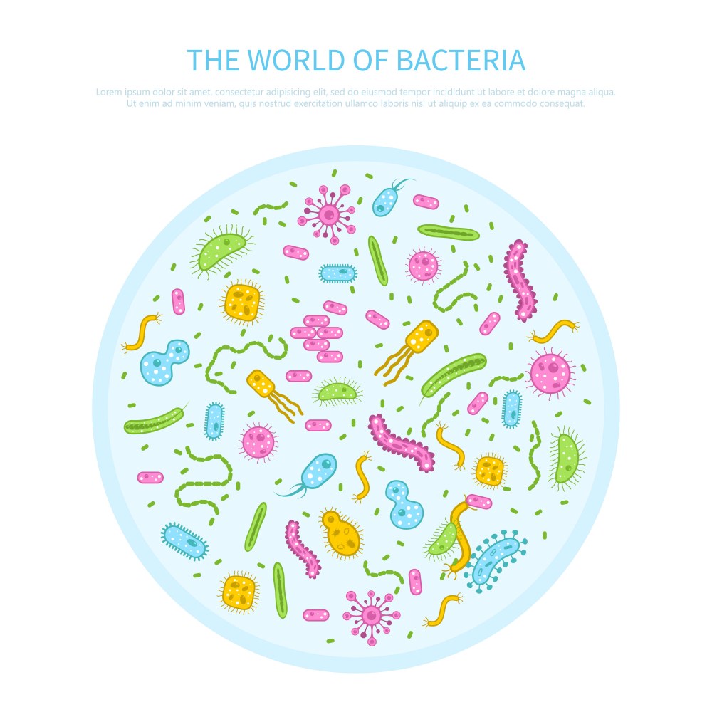 Bacteria concept illustration