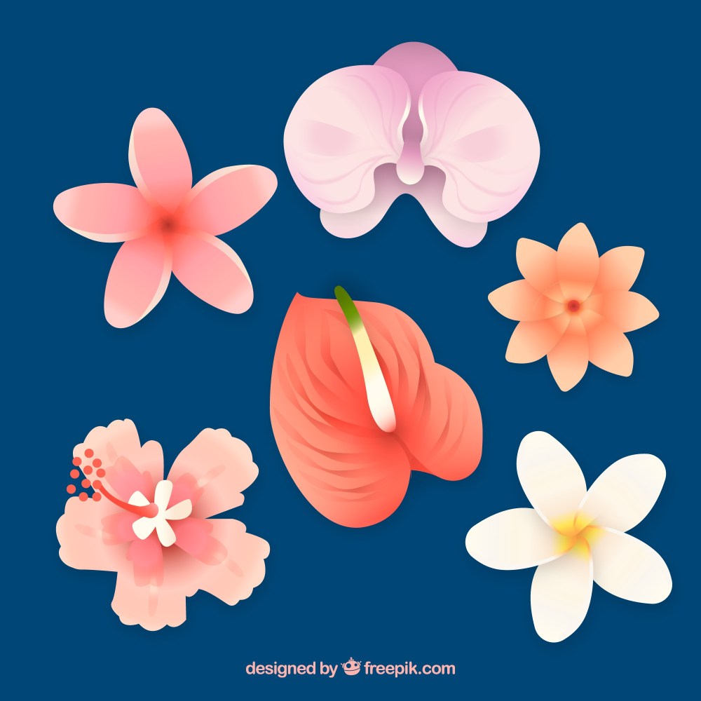 Beautiful tropical flowers set 