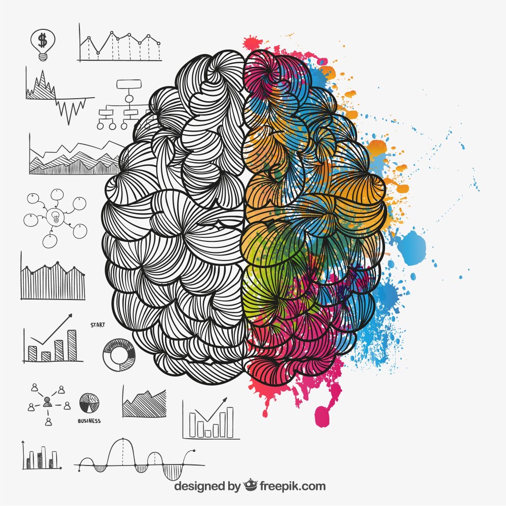 Brain hemispheres in doodle style