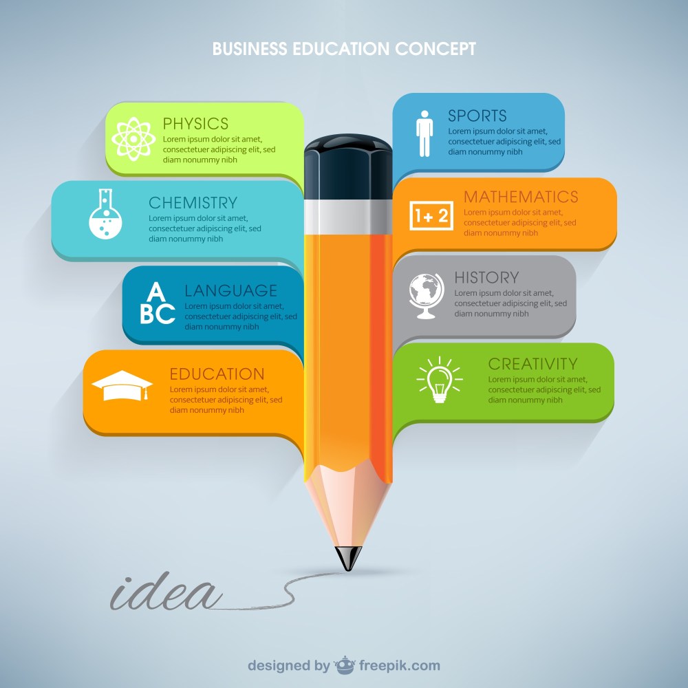 Business education infographic