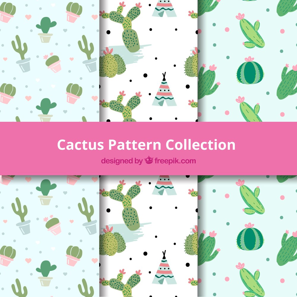 Cactus patterns with hand drawn style