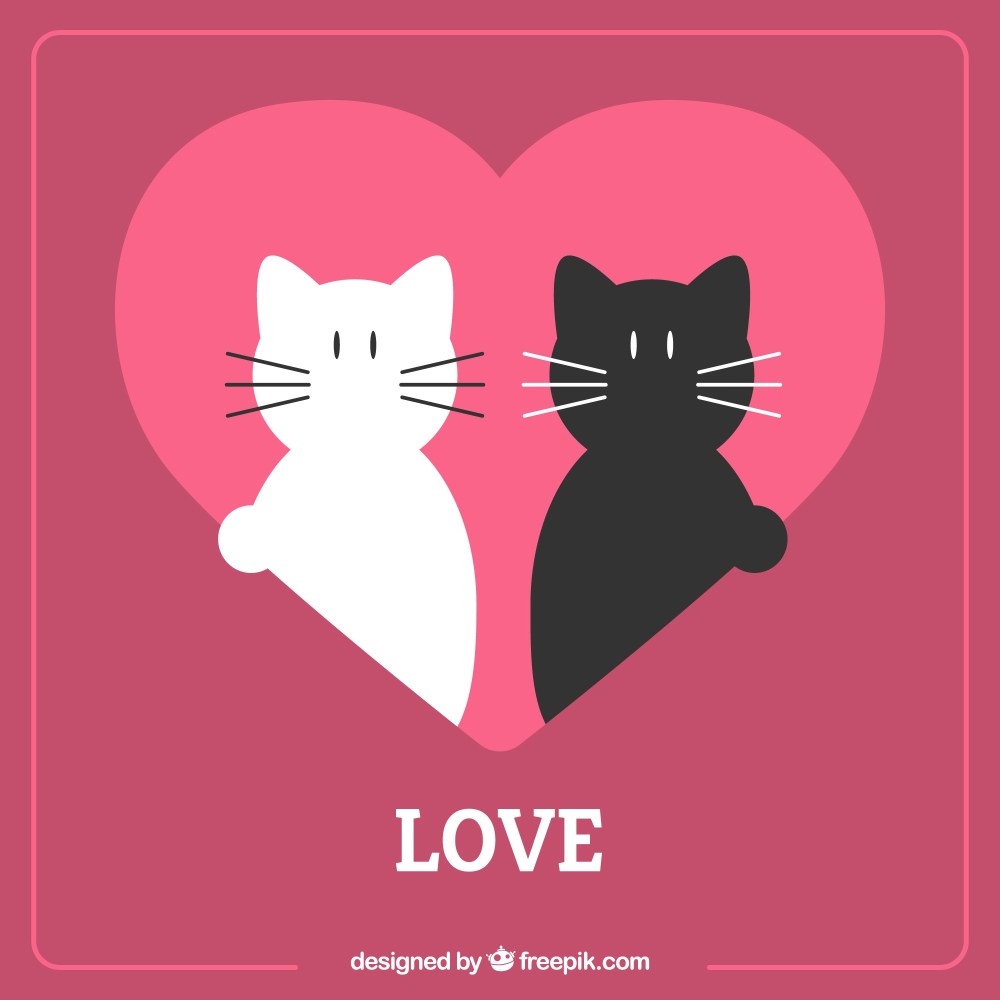 Cats love