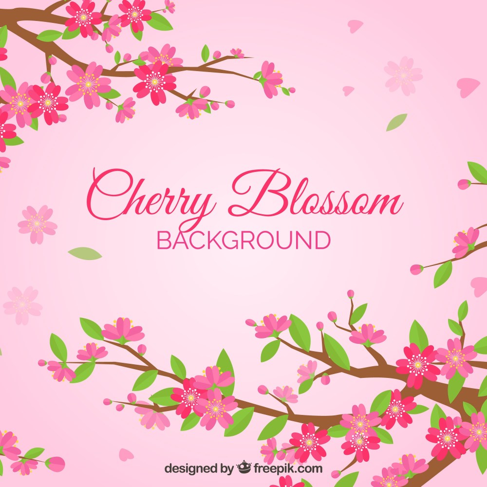 Cherry blossom background in flat style