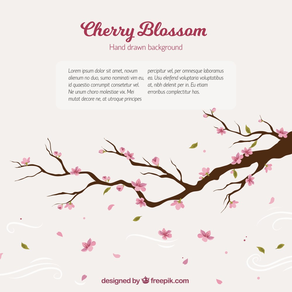 Cherry tree branch background