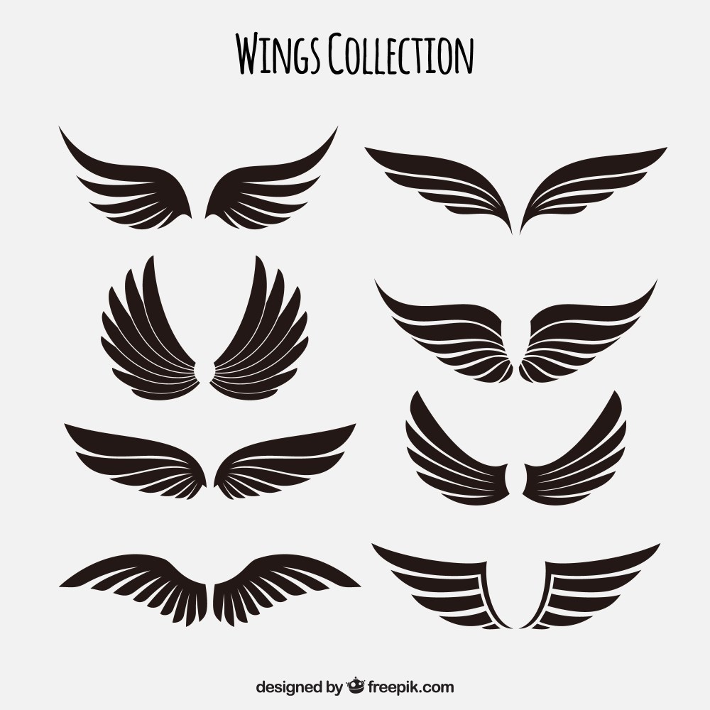 Collection of black wings