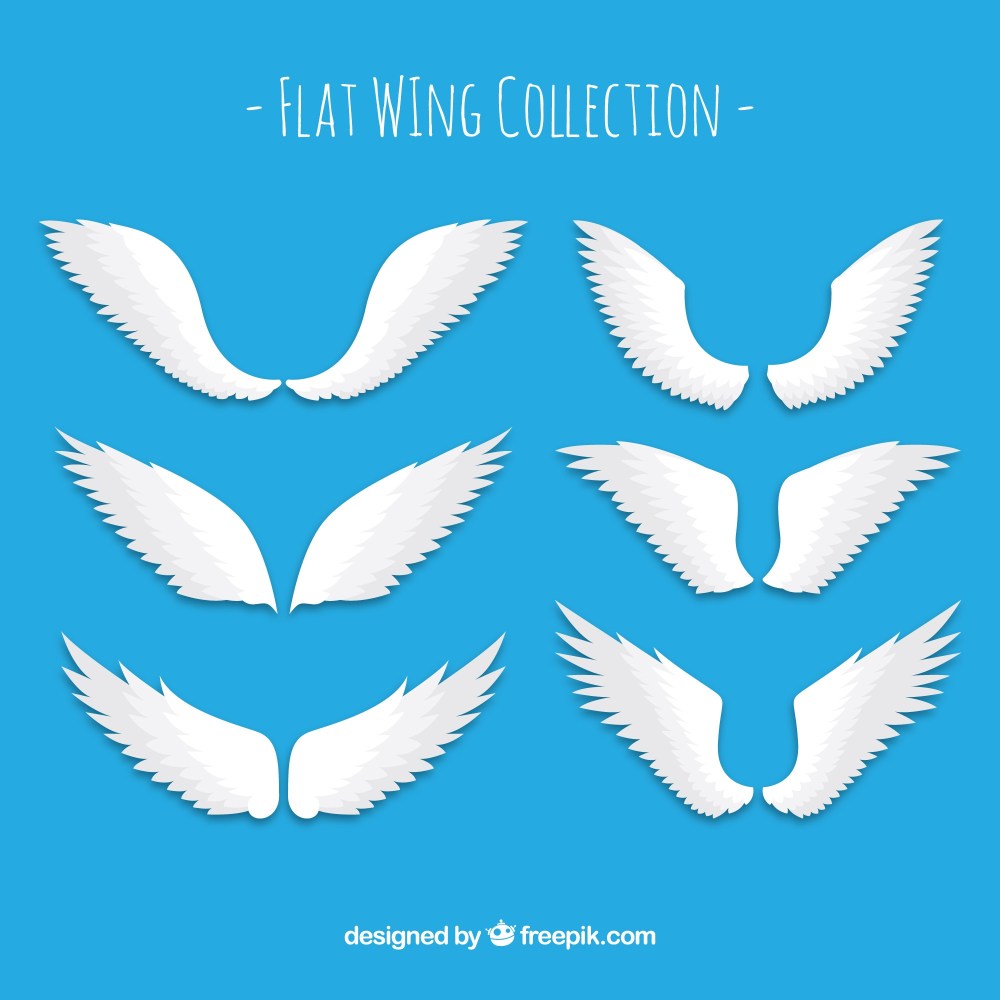 Collection of white wings