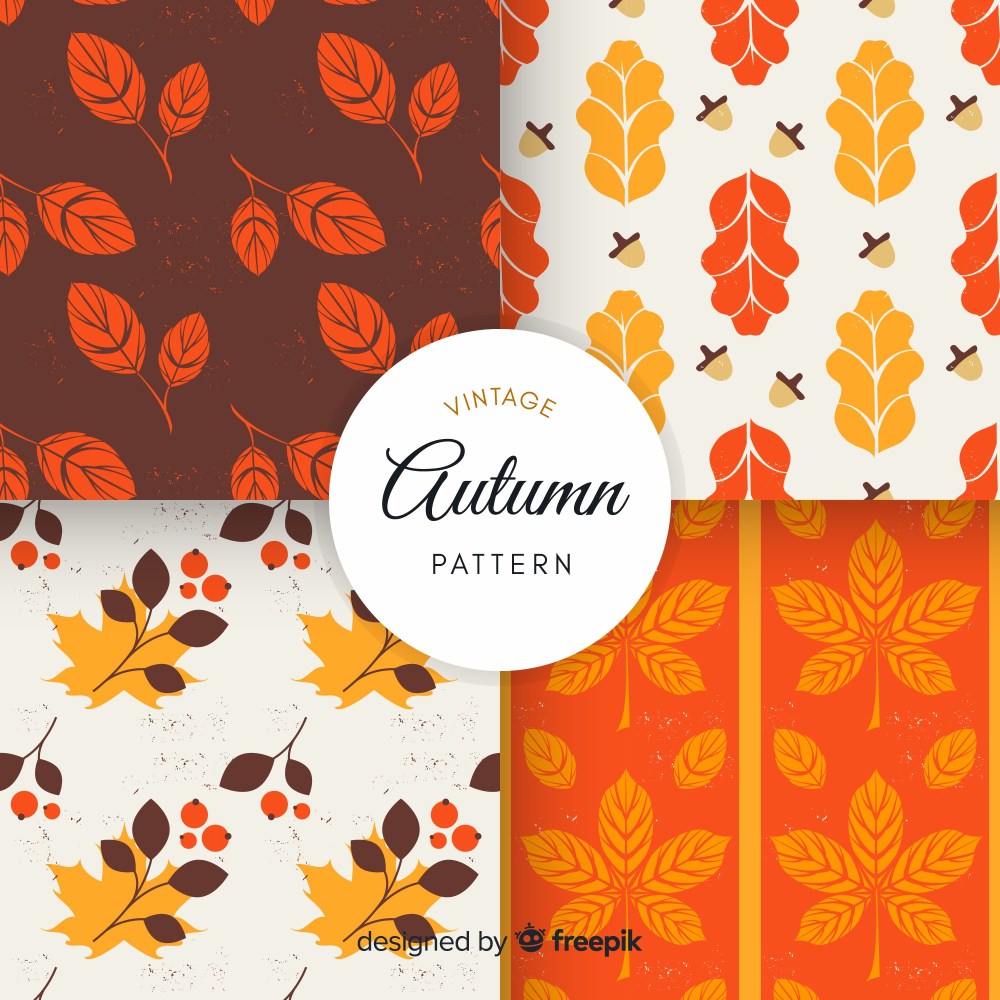 Colorful autumn pattern set with leaves