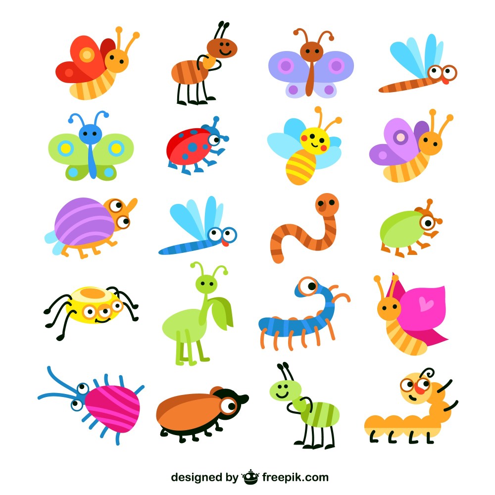 Colorful insects collection