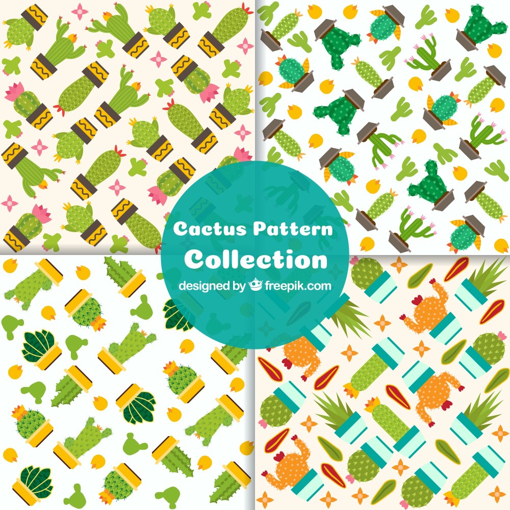 Colorful pack of cactus patterns
