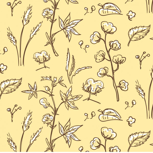 Cotton Plant Pattern