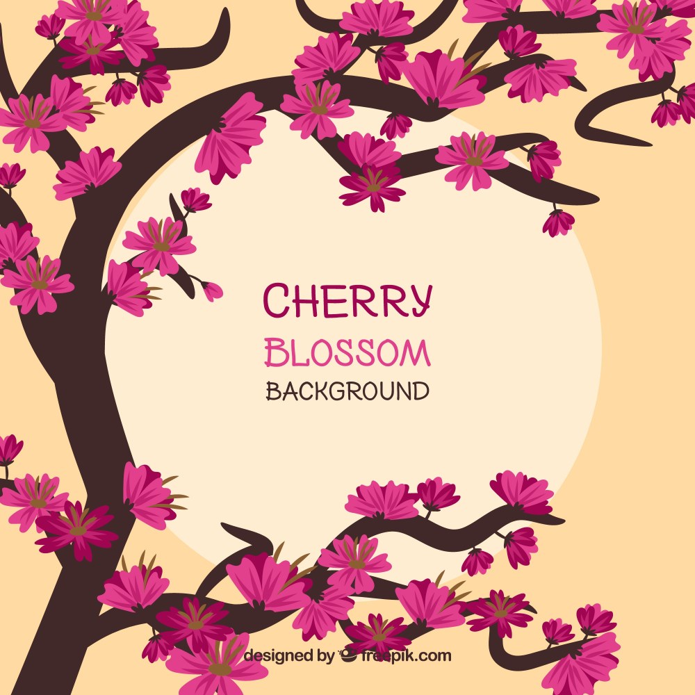 Creative cherry blossom background