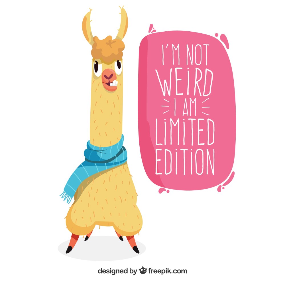 Cute alpaca with quote