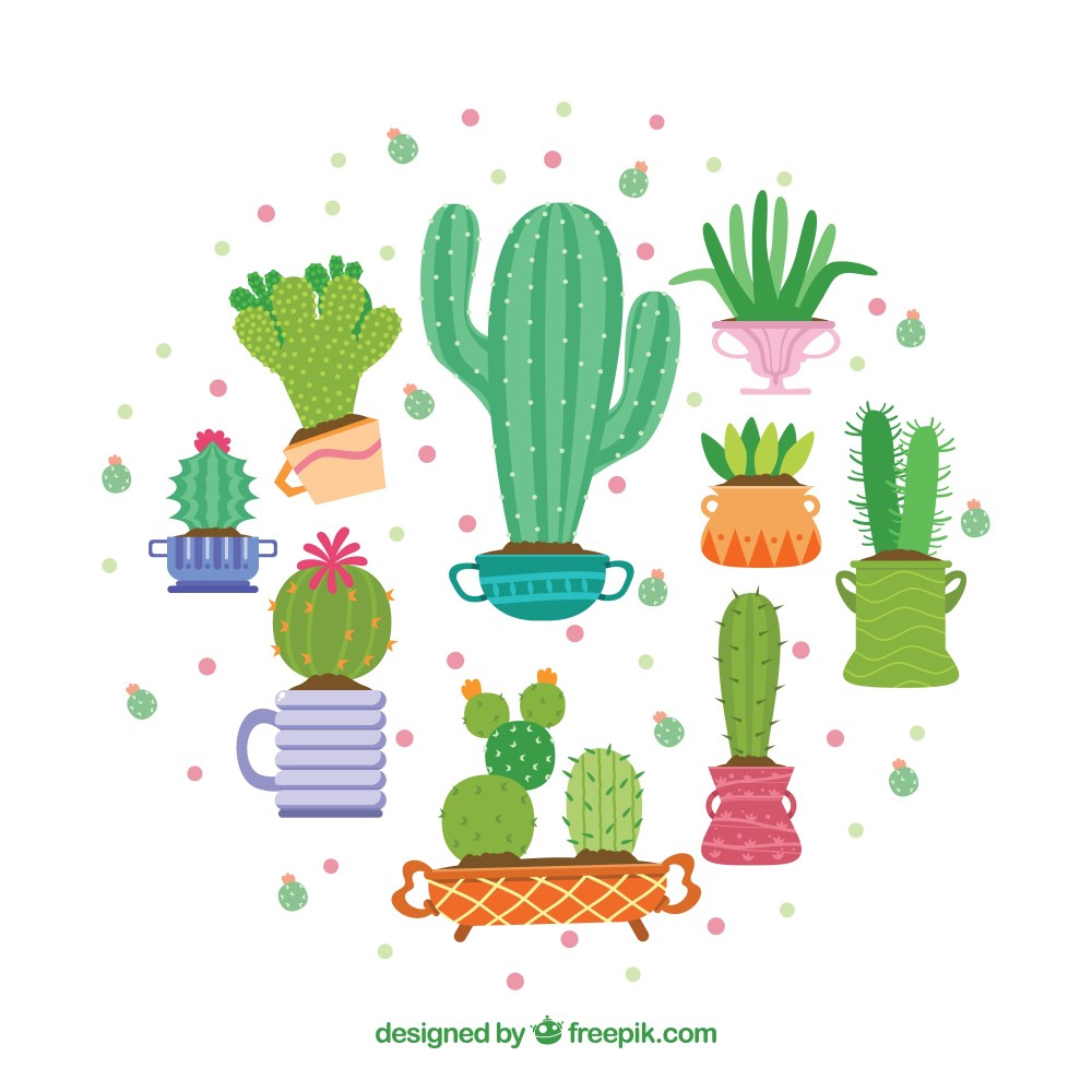 Cute cactus collection