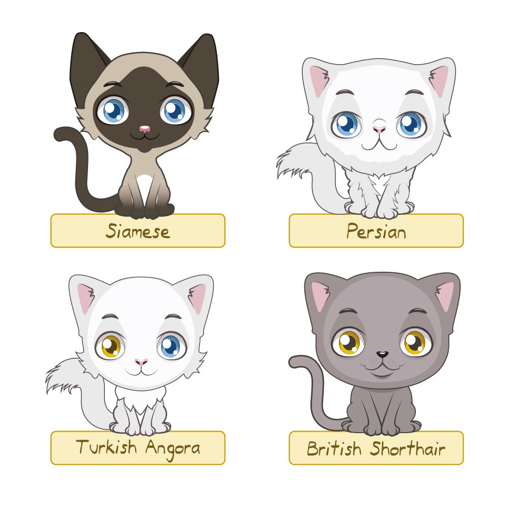 Cute cat collection