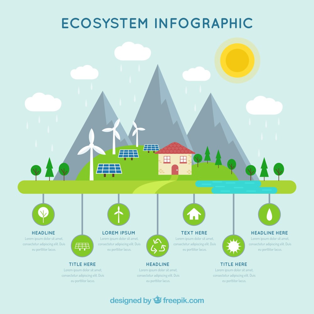 Ecosystem infographics