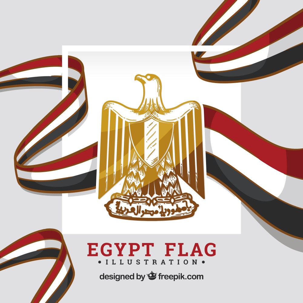 Egypt flag with shield