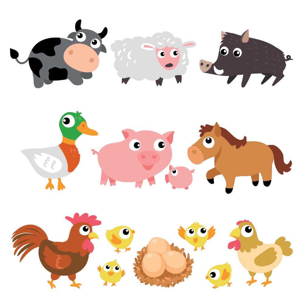 Farm animals collection