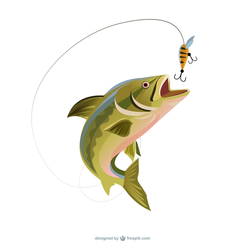 Fishing trout illustration