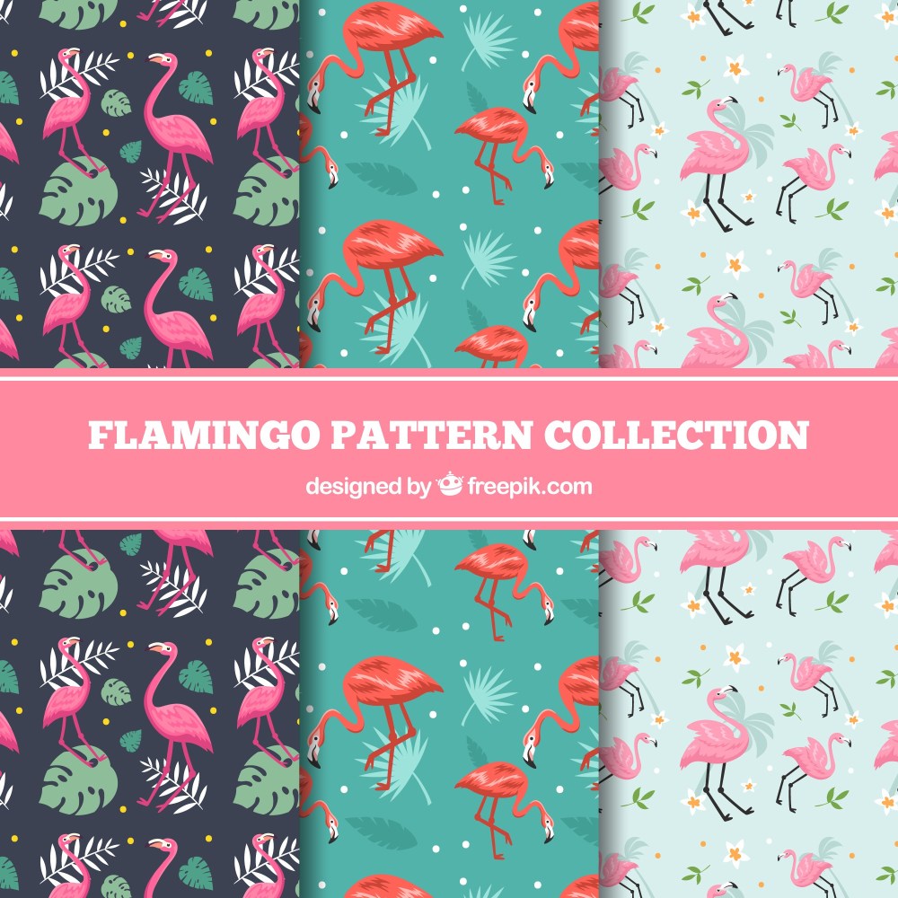 Flamenco summer pattern