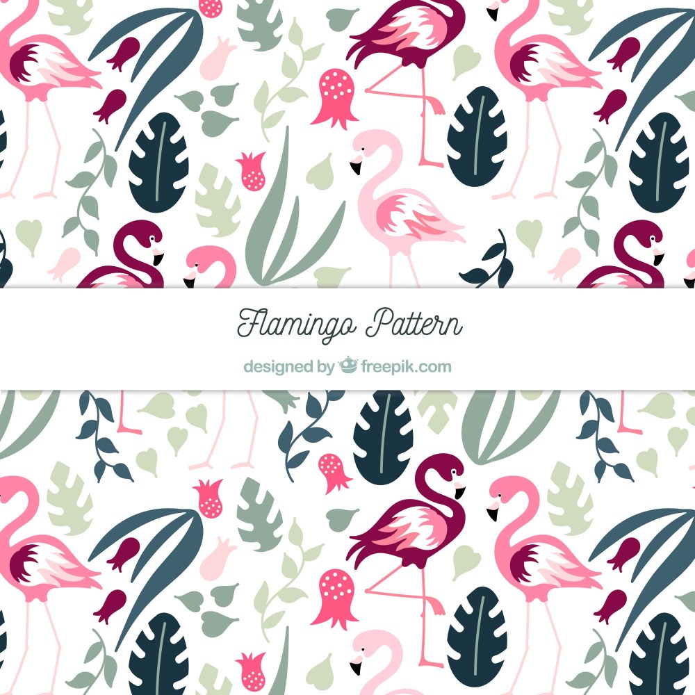 Flamenco summer pattern