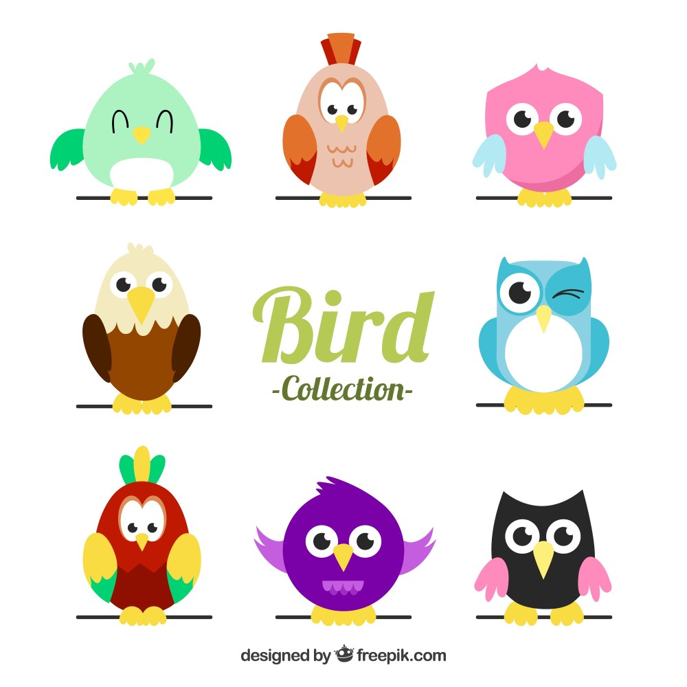 Flat bird collection