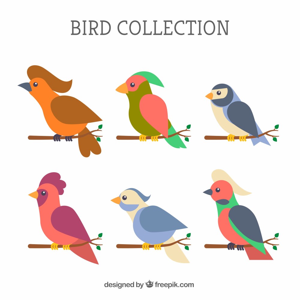 Flat bird collection