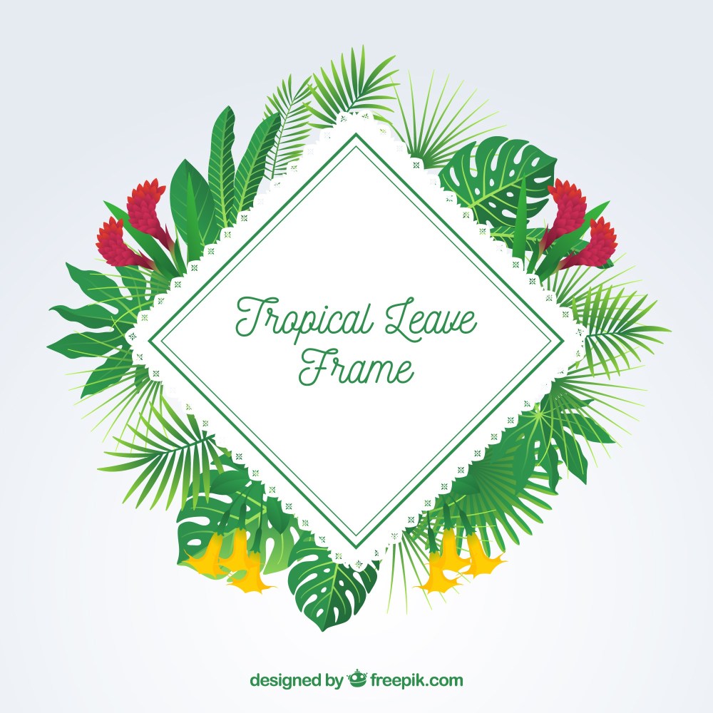 Flat summer frame with tropical leaves