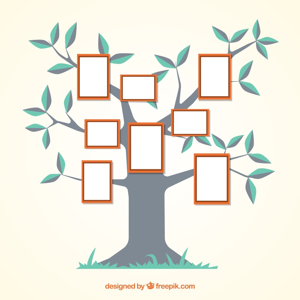 Flat tree with frames on the wall