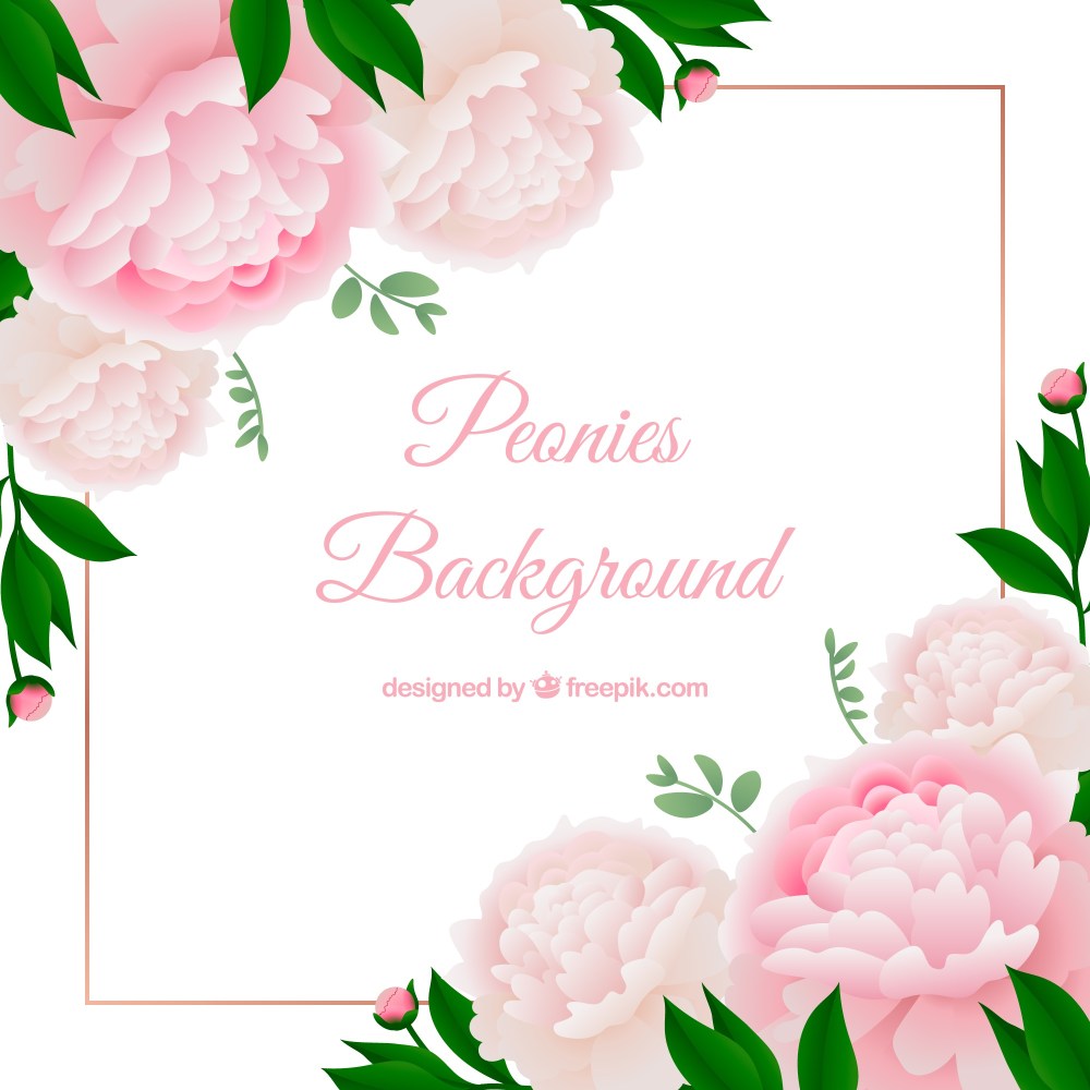 Flowers background with peonies