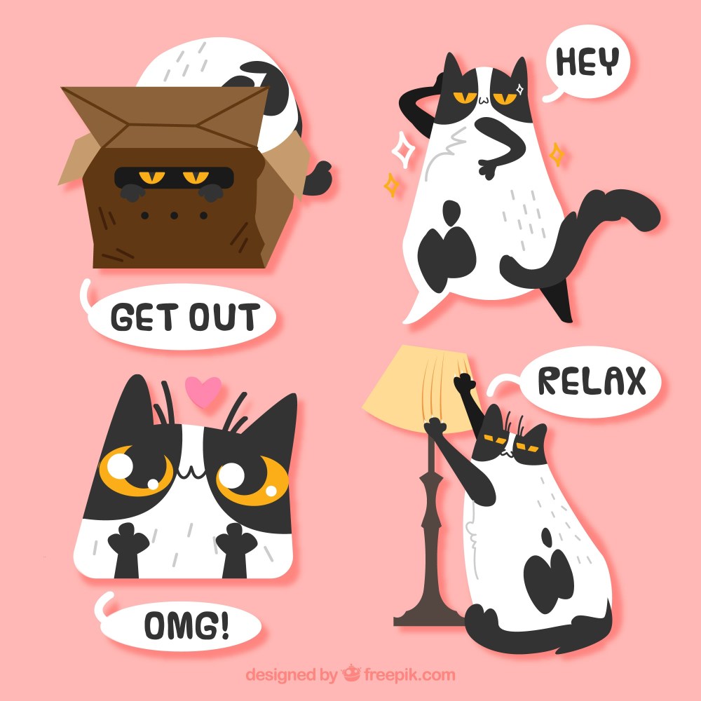 Fun pack of cat stickers