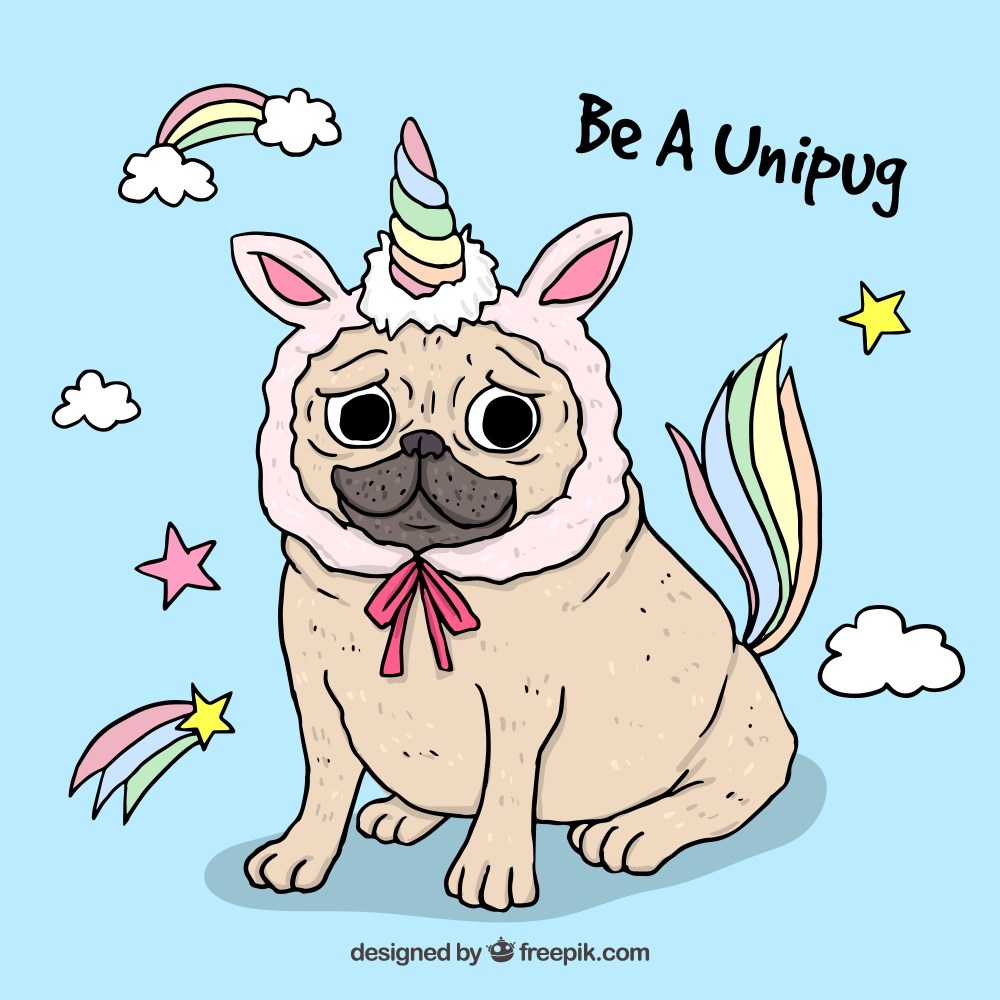 Funny pug with unicorn costume