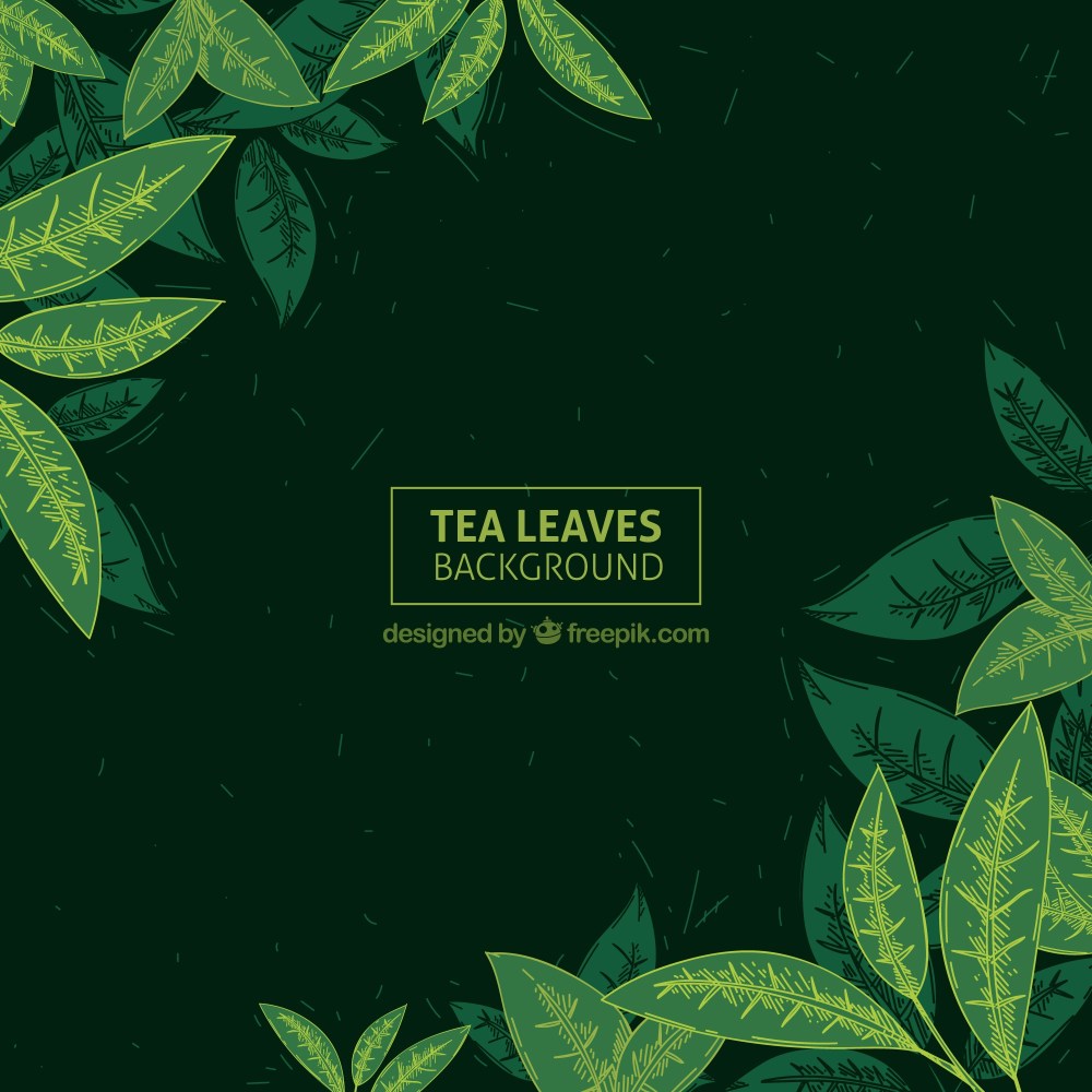 Hand drawn tea leaves background