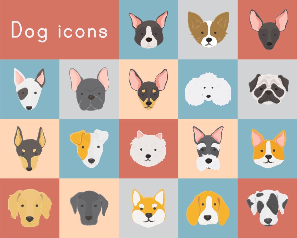 Illustration of dogs collection