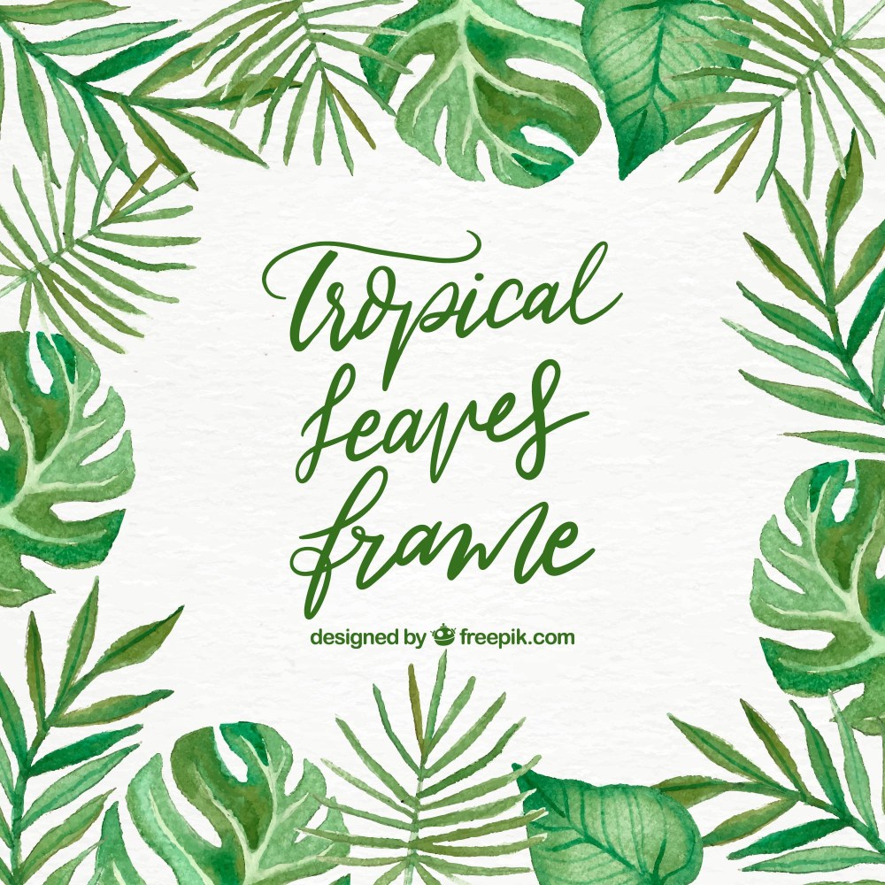 Leaves frame with tropical plants